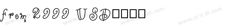 from 2999 USD字体转换